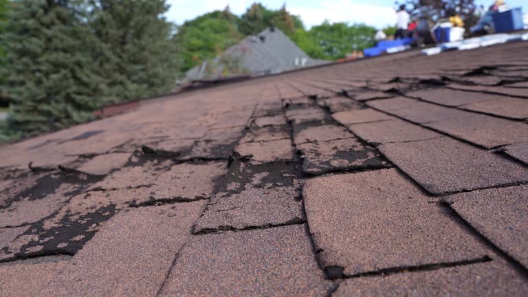 Roof Insulation in Marion, PA